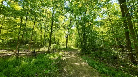 Other - 4196 W 4 Mile, White Cloud, MI 49349 photo 18 of 26