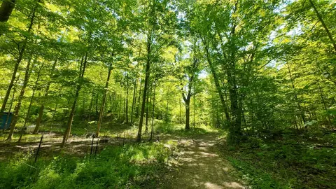 Exterior - 4196 W 4 Mile, White Cloud, MI 49349 photo 17 of 23