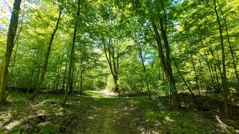 Other - 4196 W 4 Mile, White Cloud, MI 49349 photo 20 of 26
