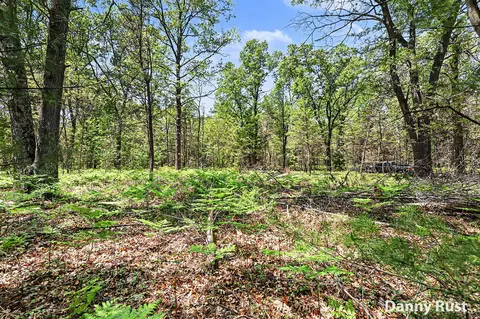 Vacant Land, Twin Lake, MI 49457