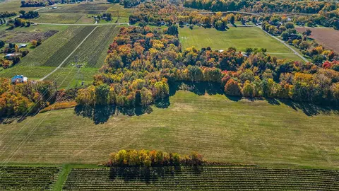 gray, Baroda, MI 49101 photo 2
