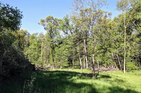 Onsted, Onsted, MI 49265 photo 23