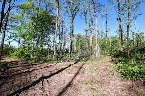 Onsted, Onsted, MI 49265 photo 18
