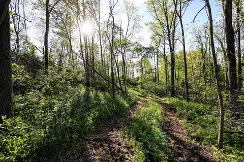 Onsted, Onsted, MI 49265 photo 19