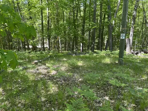 8297 Highland #349, Canadian Lakes, MI 49346