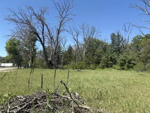 9457 S Michigan 37, Baldwin, MI 49304