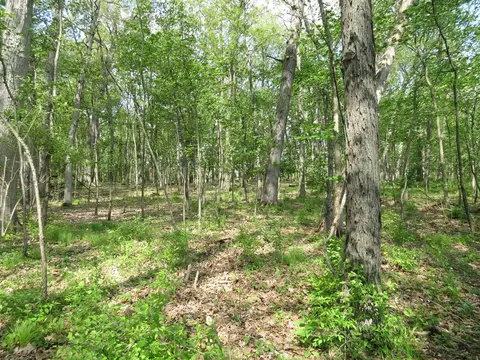 giles, Brooklyn, MI 49230 photo 8