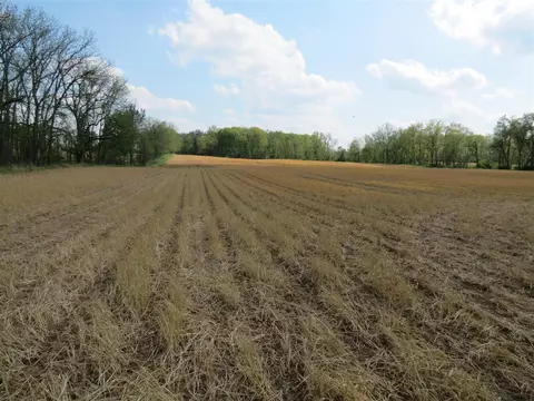 giles, Brooklyn, MI 49230 photo 13