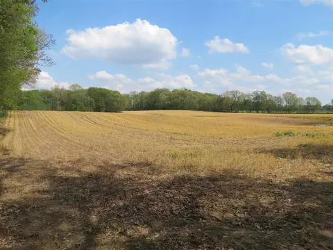 giles, Brooklyn, MI 49230 photo 2