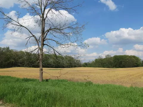 giles, Brooklyn, MI 49230 photo 12