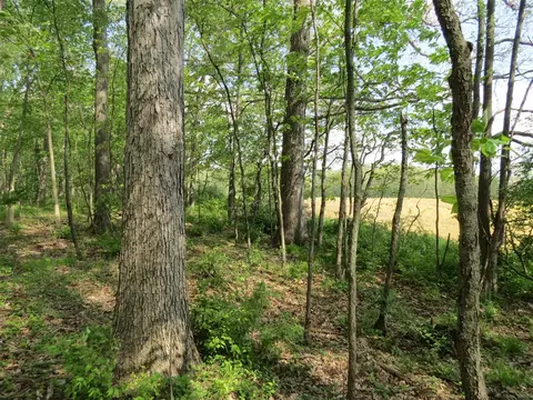 giles, Brooklyn, MI 49230 photo 9