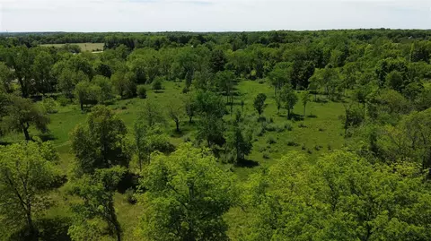 Travis Pointe, Ann Arbor, MI 48103 photo 23