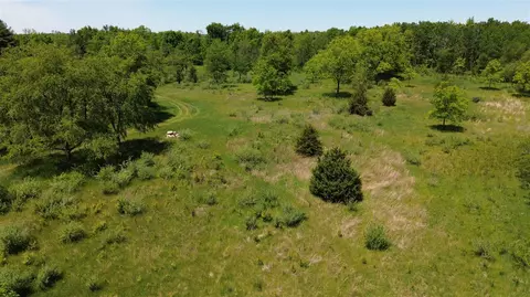 Travis Pointe, Ann Arbor, MI 48103 photo 21