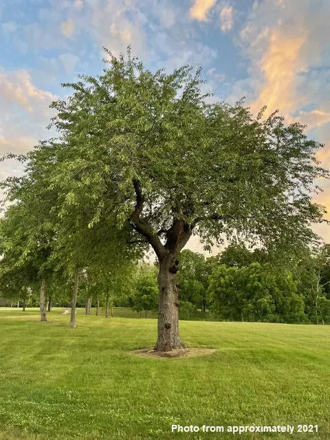Travis Pointe, Ann Arbor, MI 48103 photo 33