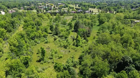 Travis Pointe, Ann Arbor, MI 48103 photo 11