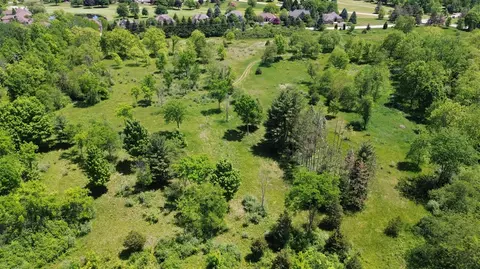 Travis Pointe, Ann Arbor, MI 48103 photo 12