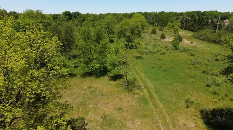 Travis Pointe, Ann Arbor, MI 48103 photo 20