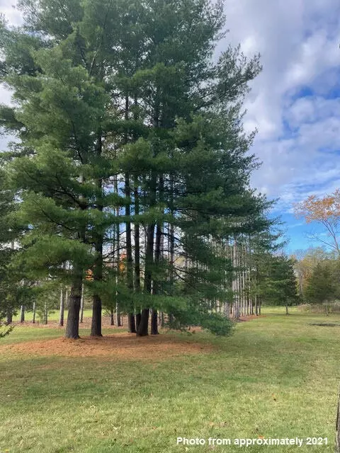 Travis Pointe, Ann Arbor, MI 48103 photo 34