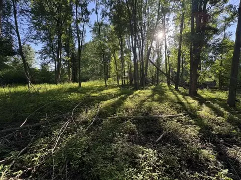Pinch, Potterville, MI 48876