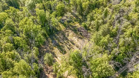 73 Harmony, Idlewild, MI 49642 photo 9