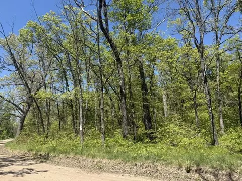 Parcel C Usfs 5196, Baldwin, MI 49304 photo 5