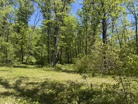 Parcel C Usfs 5196, Baldwin, MI 49304 photo 8