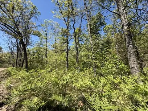Parcel C Usfs 5196, Baldwin, MI 49304 photo 2