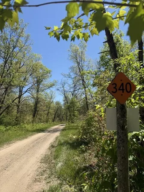 Parcel C Usfs 5196, Baldwin, MI 49304 photo 7