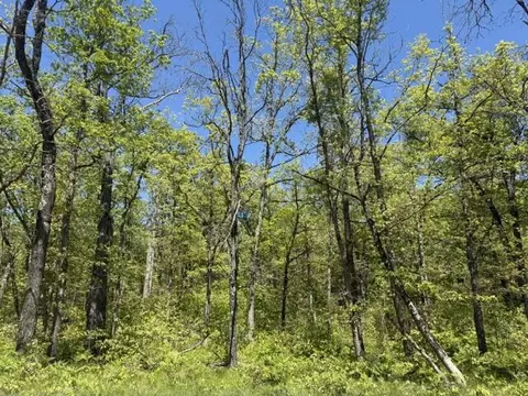 Parcel C Usfs 5196, Baldwin, MI 49304 photo 6