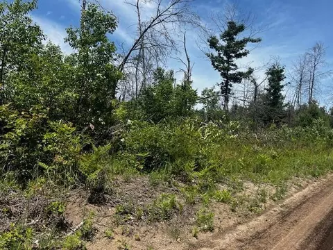 Parcel 3 Nelson, Idlewild, MI 49642