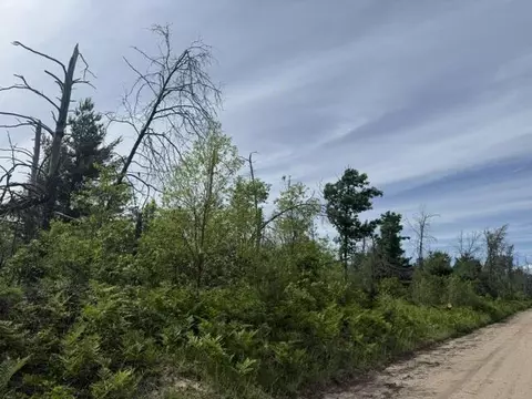 Parcel 3 Nelson, Idlewild, MI 49642