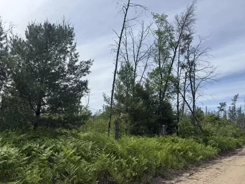 Parcel 2 Nelson, Idlewild, MI 49642