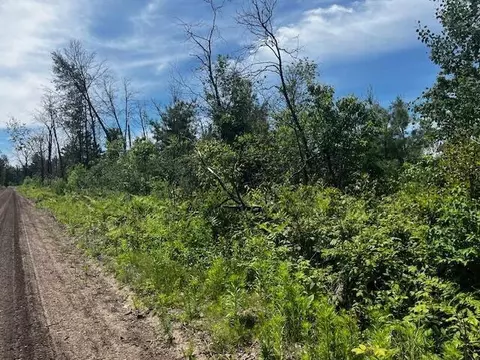 Parcel 2 Nelson, Idlewild, MI 49642