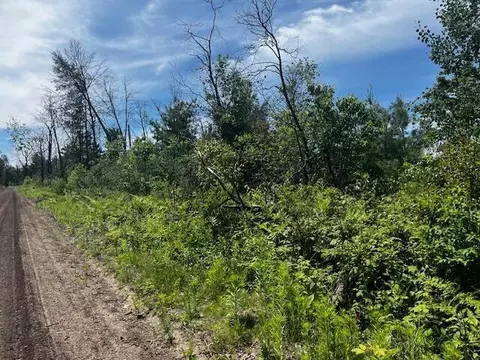 Parcel 2 Nelson, Idlewild, MI 49642