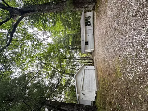 5112 N Red Maple, Irons, MI 49644