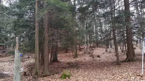 S Sable Pointe, Shelby, MI 49455
