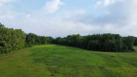 Diller, Benton Harbor, MI 49022 photo 3