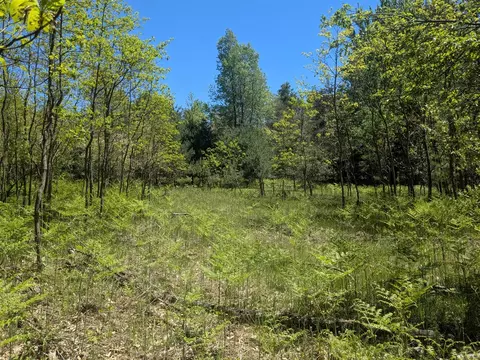 40 Ac Vl Clements, Kaleva, MI 49619