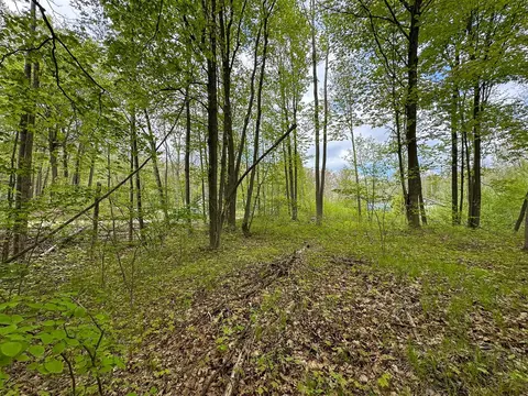 lot103 Fawn, Harrison, MI 48625 photo 10