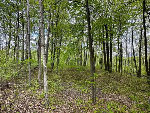 lot103 Fawn, Harrison, MI 48625 photo 8