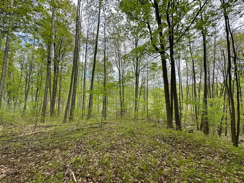 lot103 Fawn, Harrison, MI 48625 photo 11