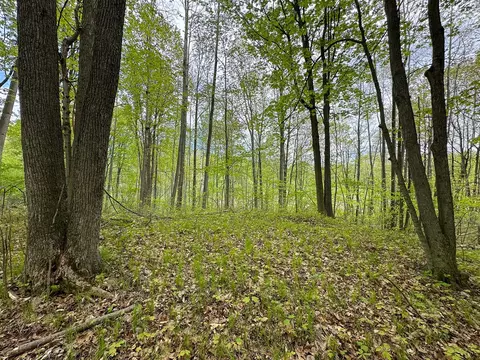 lot103 Fawn, Harrison, MI 48625 photo 9