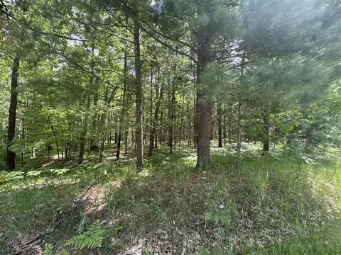 2830 W Pierce, Brohman, MI 49312
