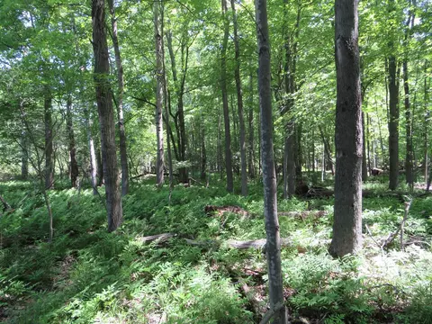 Vl Elkton, Update, MI 48754 photo 33