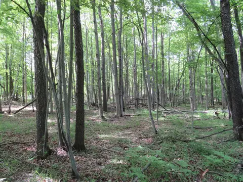 Vl Elkton, Update, MI 48754 photo 2