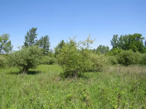 Vl Elkton, Update, MI 48754 photo 35