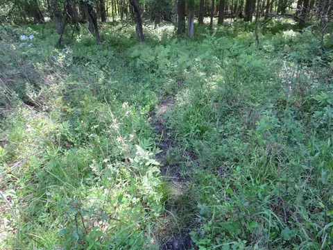 Vl Elkton, Update, MI 48754 photo 32