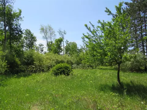 Vl Elkton, Update, MI 48754 photo 31