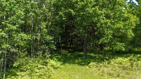 Dickson, Brethren, MI 49619 photo 5