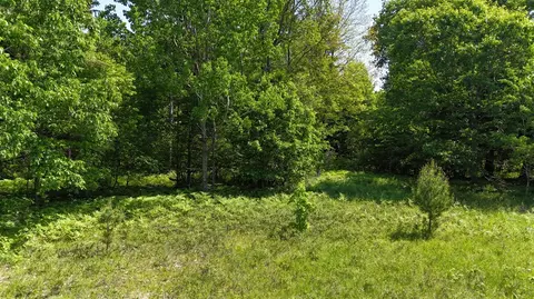 Dickson, Brethren, MI 49619 photo 7